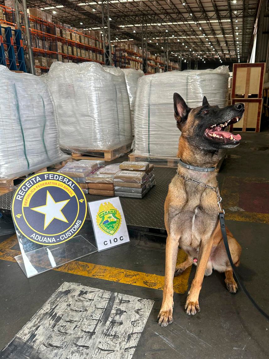 Receita Federal apreende 38 quilos de cocaína em Paranaguá, no Litoral do Estado