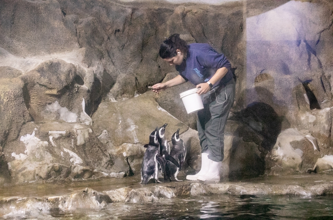 Novos animais, consciência ambiental e diversão, atrações para o verão no Aquário de Paranaguá