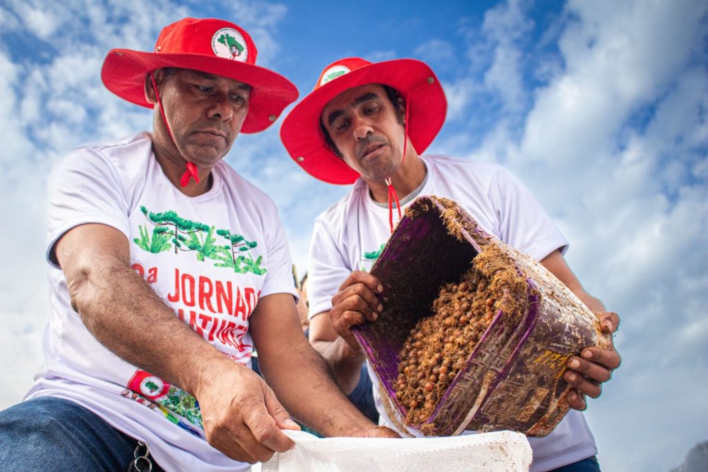 MST realiza mobilização popular de reflorestamento no Paraná com 30 toneladas de sementes
