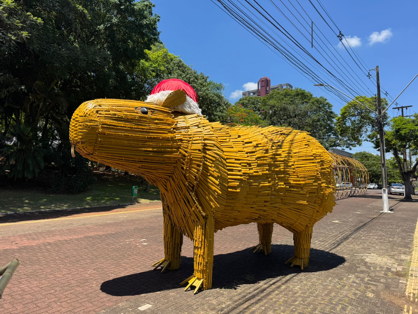 TCE dá 48 horas para Prefeitura de Foz explicar Natal contratado sem licitação